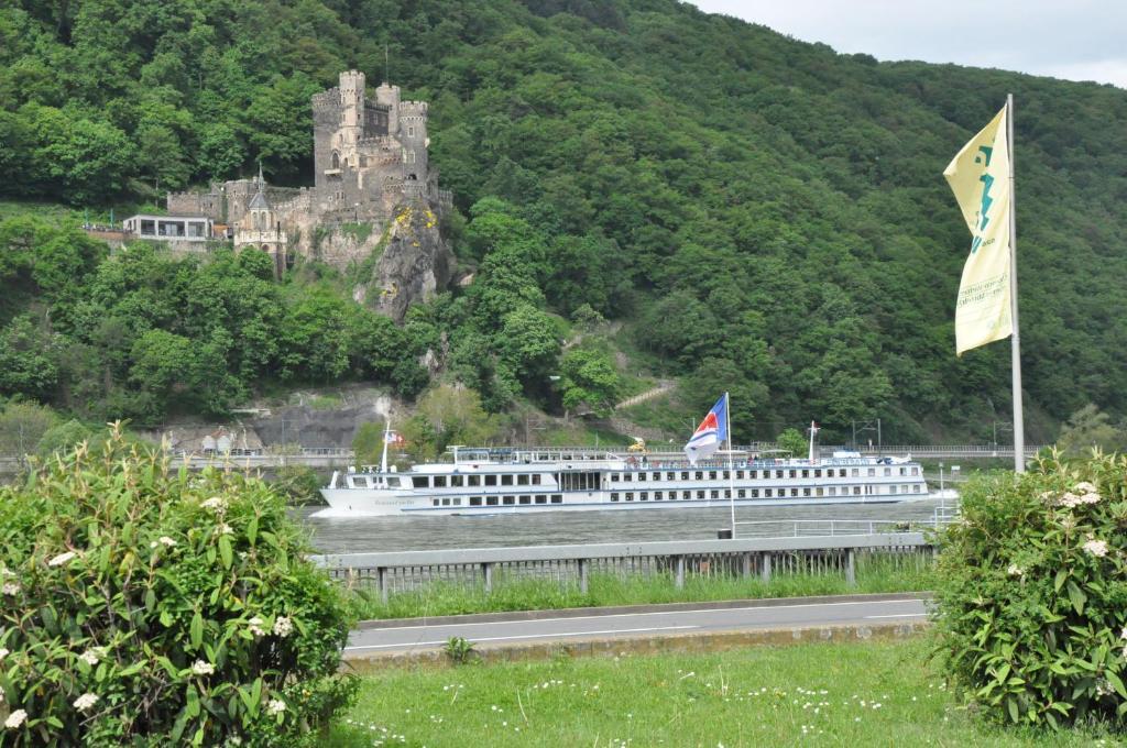 Hotel Rheinstein Рюдесхайм ам Рейн Екстериор снимка